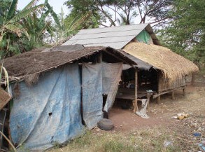 Maisons